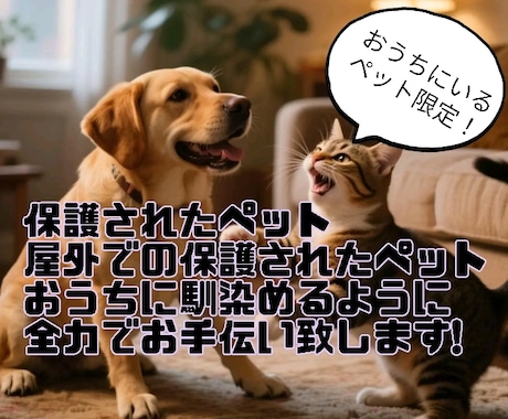 保護犬や保護猫さんが家庭に馴染むお手伝い致します 譲渡されたペット限定！新生活に馴染めるようにお手伝い致します イメージ1