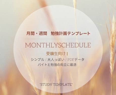 月間、週間の勉強計画テンプレートをお渡しします 続けやしい学習テンプレートです イメージ1
