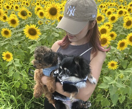 ペットの動画つくります 愛するペットの冒険を動画にします。 イメージ2