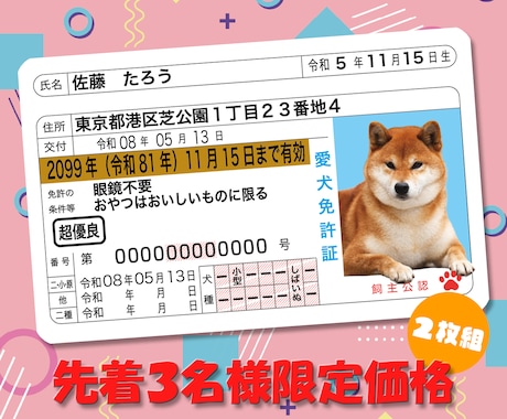 本物そっくり！ペットのオリジナル免許証を作ります イメージ1