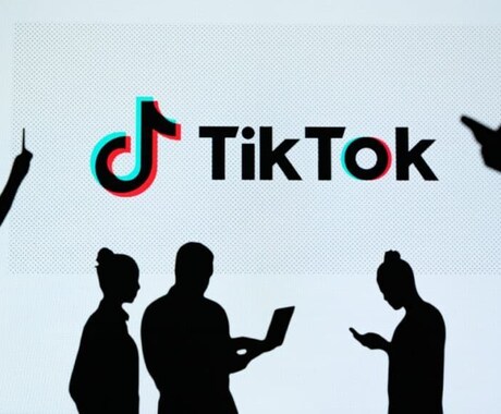 TikTokの運用をトータルサポートします マーケティングの知見を活かし、運用プランを提案いたします イメージ1