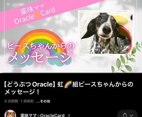 動物専門※我が子の気持ちお伝えします チャネリング(会話)しながらオラクルカードを引く独自手法 イメージ1