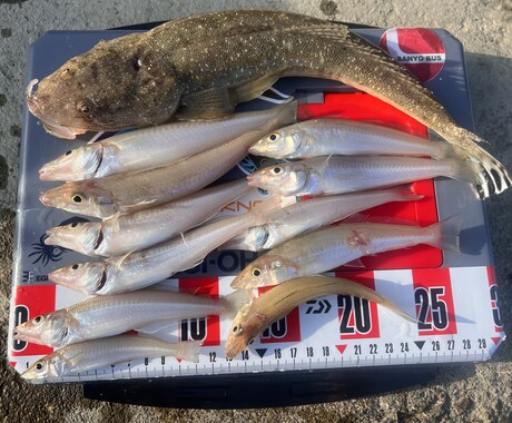 完全初心者向け、釣りの楽しさ教えます 釣り歴20年の私が釣りの全てを伝授いたします！ イメージ1