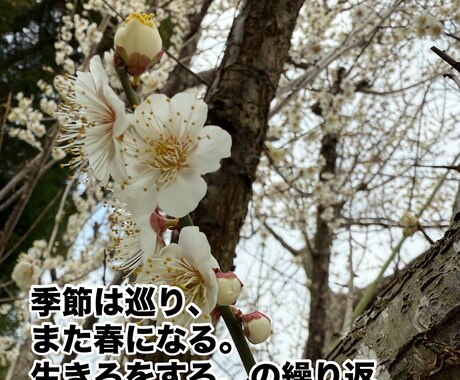 癒しの写真に心に響く詩をつけます Be happy。誰もが抱く夢と希望。ありのままを探して。 イメージ2