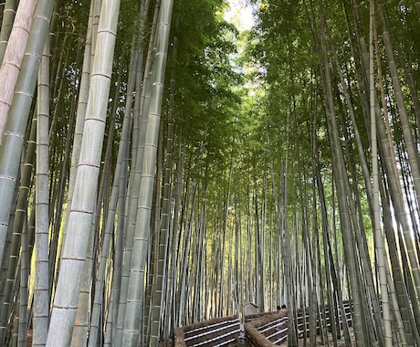 観光客の知らない京都の穴場旅行プランを作成します 最適な京都旅行プランを作成。日本語・英語対応可能です。 イメージ2