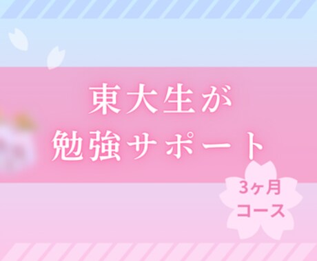 3ヶ月！東大・塾講師が勉強計画を徹底サポートします 学習計画のアップデート、質問回答、メンタルサポート イメージ1