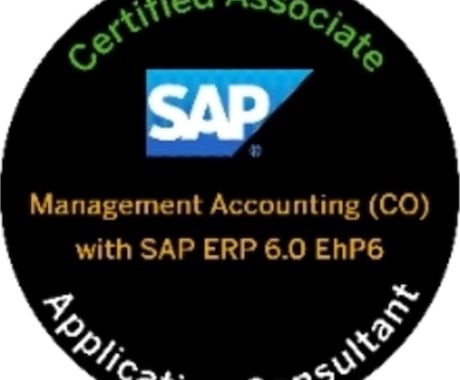 SAPの基礎知識を教えます SAP初心者にSAPの概要を教えます。 イメージ1