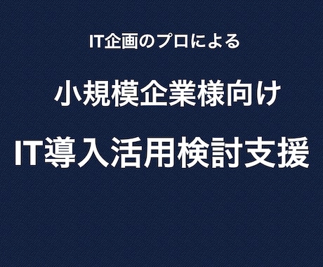 小規模法人のIT活用のための検討や計画を支援します IT企画のプロが御社IT企画を支援します イメージ1