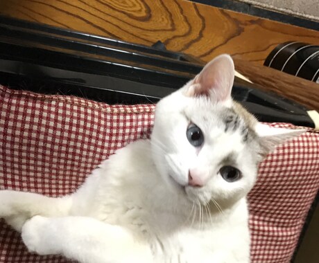 労働でお困りのことなら、 社労士が相談にのります 労働相談ならお任せ下さい！社会保険の相談も承ります。 イメージ1