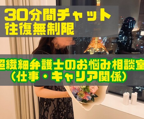 超繊細弁護士が仕事・キャリア関係のお悩み聞きます 往復無制限｜30分間チャット｜職場でのお悩み イメージ1