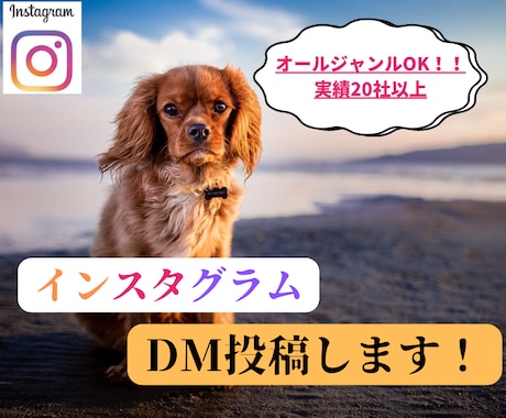 インスタグラムにて熟練者が毎日DM営業します オールジャンルOK！ご希望のユーザーにDMをお送りします イメージ1