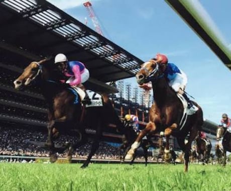 馬連4頭BOX(6通り)で予想をご提案します あなたの競馬ライフをより良い物に… イメージ1