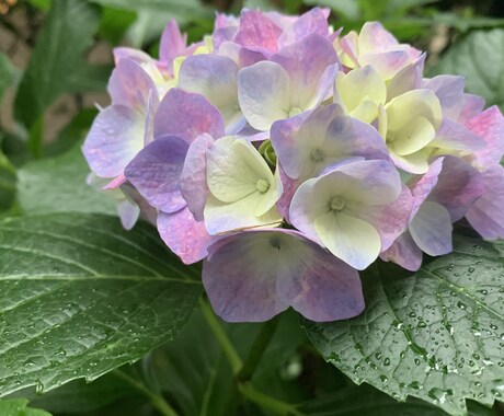タロットで「恋愛・結婚」について鑑定します 6枚2組のカードで質問１つを、ワンコイン鑑定します。 イメージ1