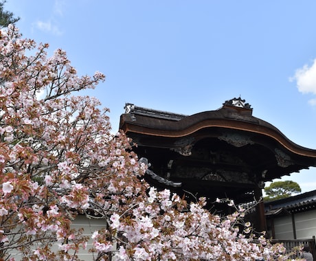 超充実と好評！京都の観光、グルメプランを提案します 大学で京都観光学勉強。調理・パティシエ免許保有のグルマン案内 イメージ1