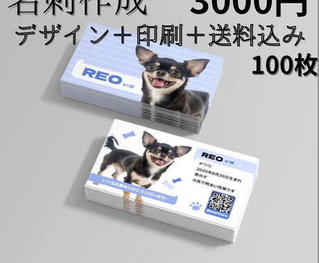 デザイン＋印刷＋送料込み 名刺作成します 【名刺作成】デザイン＋印刷＋送料込み 100枚 3000円 イメージ1