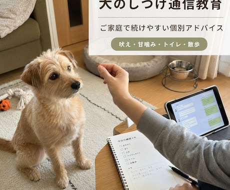 愛犬の困りごとに助言します 訓練経験をもとにご家庭でできる実践案をご提案 イメージ1