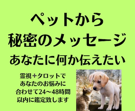 愛するペットからの言葉をお伝えします ペットがあなたに想いを伝える時を待っています。 イメージ1