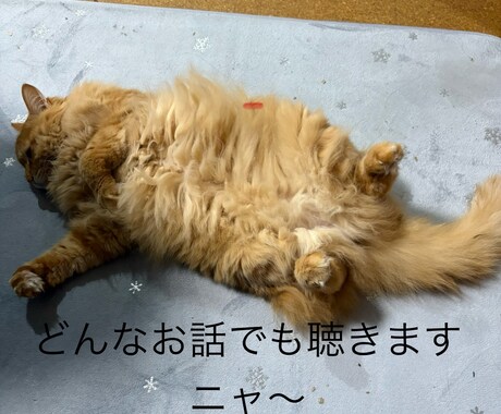心と体の健康相談を承ります 心と体の悩みに寄り添い、安心できる時間を提供します。 イメージ1