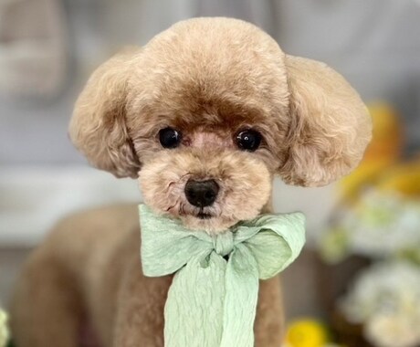 シンプルで似ているペット似顔絵を描きます グッズにすると普段使いできるシンプルオシャレな似顔絵 イメージ2