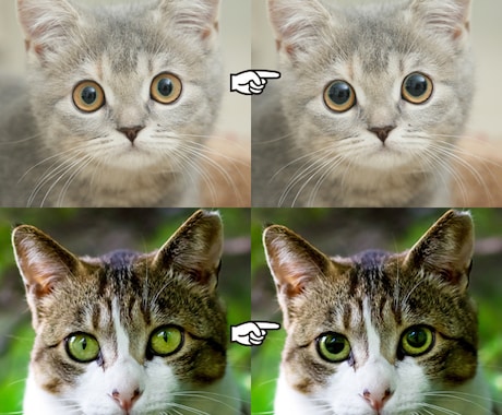 猫ちゃんの写真修正★瞳孔デカ目★にします うちの子もっとスゴイんです！惜しい写真を自慢の一枚に イメージ2