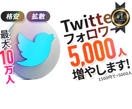 Twitterフォロワー〈5000人〉増加します Twitterのフォロワー数5000人を1500円で増加！