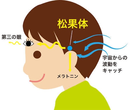 宇宙エネルギーで松果体活性☆覚醒へと導きます 松果体活性＆潜在意識のセッションで隠れた能力を開花させよう！ イメージ2