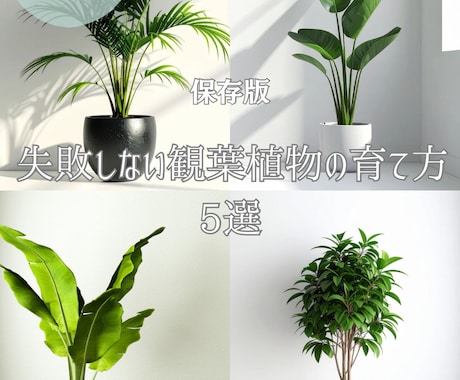 Instagramの投稿・図解画像を制作します 世界観に合わせた大人可愛い・オシャレなデザインをお届けします イメージ1