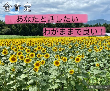 1分だけでもお話し聞きます うまく話せなくても大丈夫✩.*誰かと繋がりたい貴方へ‧⁺ ⊹ イメージ1
