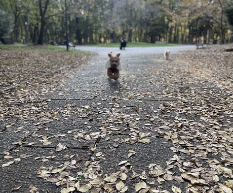 楽しく話せる話し相手になります 関西人特有の喋りで楽しく会話しましょう！ イメージ1