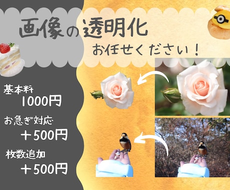 写真、画像の背景白抜き・透明化いたします イメージ1