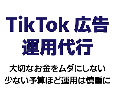 少額予算で効率運用！TikTok広告運用代行します 【現役WEB広告運用者】大切なご予算を無駄なく活かします！ イメージ1