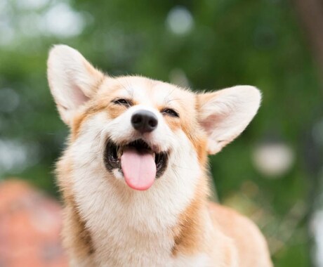 最強シンプルな手法おゆずりします 誰でも手順を真似するのみ！ツールなんていりません‼️ イメージ1