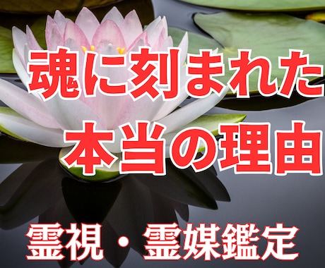 悩みの本当の理由☆魂に刻まれた記憶にアクセスします 霊視・霊媒鑑定☆高次元からのメッセージ☆全て知りたいですか？ イメージ1