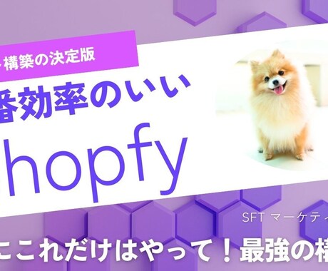 Shopifyで商品販売のECサイトを構築します Shopify認定パートナーがECサイト開設をお手伝いします イメージ2