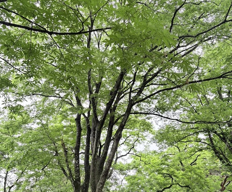 ふと誰かと話したくなったとき✨お話相手になります 心、体、人間関係…浮かんだことを自由にお話しくださいね✨ イメージ2