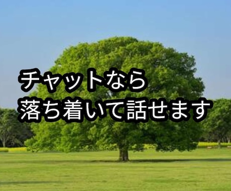 電話が苦手な方とお話しをします パートナーへの悩み。チャットなら安心して話せます。 イメージ1