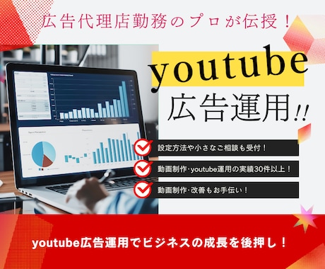 初心者必見！WEB広告のプロが運用します 低予算でも成果実感！YouTube広告でビジネスの成長促進！ イメージ1