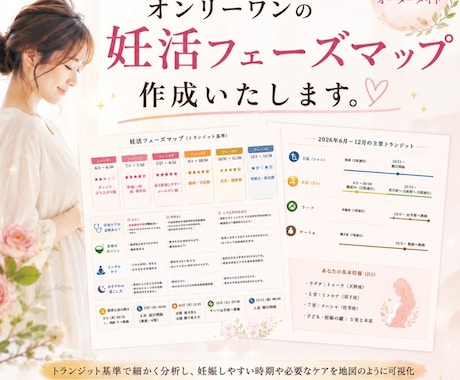 妊活フェーズマップ作成いたします 妊娠しやすい時期、今に合うケアをホロスコープからだします。 イメージ1