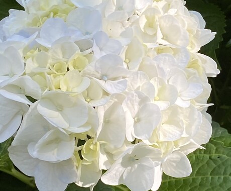 お悩み解決します 病まない生活のはじめ方教えさせてください☺️ イメージ1