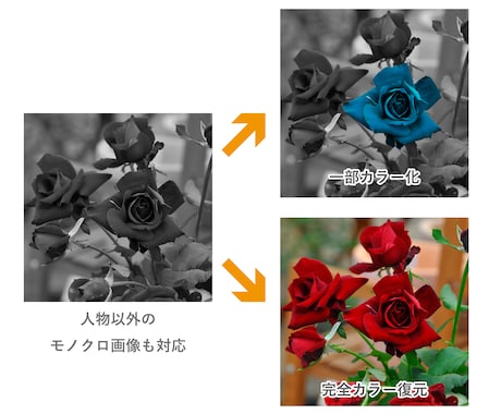 最短当日！モノクロ写真をカラーに変換します 思い出のモノクロ写真を復元できます イメージ2