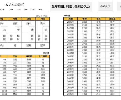 四柱推命で命式や鑑定書、運勢グラフをお出しします 命式、性格・本質等の鑑定書、大運、年運、運勢グラフ