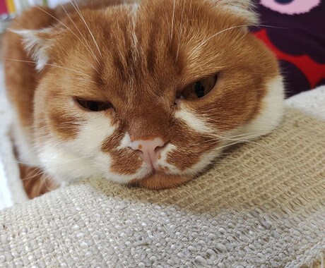 お話し聞きます 現役人事部長があなたのお悩みをじっくりお聞きします。 イメージ1