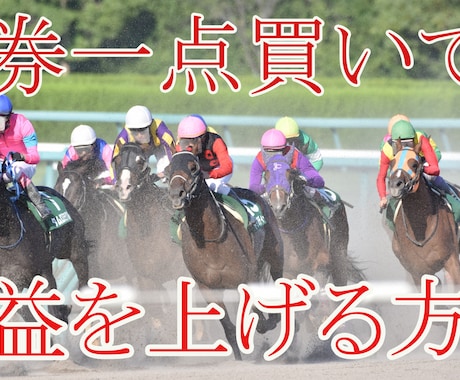 馬券1点買いで利益を上げる投資手法教えます 競馬で臨時収入が欲しい、副業をやってみようと考えている方 イメージ1