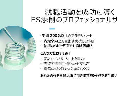 就活ES添削で内定率UP！プロが徹底指導します 年間200名以上の学生をサポート！ES添削のスペシャリスト イメージ2