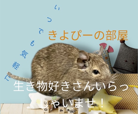 犬猫小動物｜生き物好きさんの相談や自慢話を聴きます トークルームで10通やりとり-通話と違い落ち着いてトーク可能 イメージ1