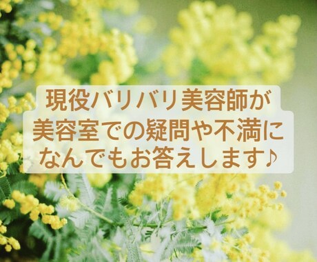 現役美容師が美容院の疑問や不満に答えます 日にちと時間は出来るだけ対応します♪ イメージ1