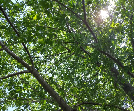 キャリアのお悩み一緒に整理します キャリアの棚卸をしてあなたの強みを明確に イメージ1