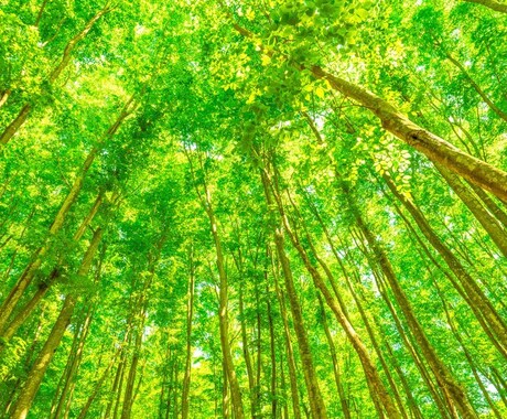 話し相手をします 何でも聞きます。気軽に話してみてください。 イメージ2