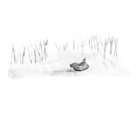 ほんわか暖かい雰囲気のモノクロイラストを描きます 柔らかい雰囲気のアイコンや挿絵のモノクロイラストが欲しい方へ イメージ1