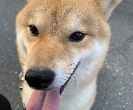 お悩みに寄り添います 自分の考えや行動で自ずとかわるかもしれません イメージ1